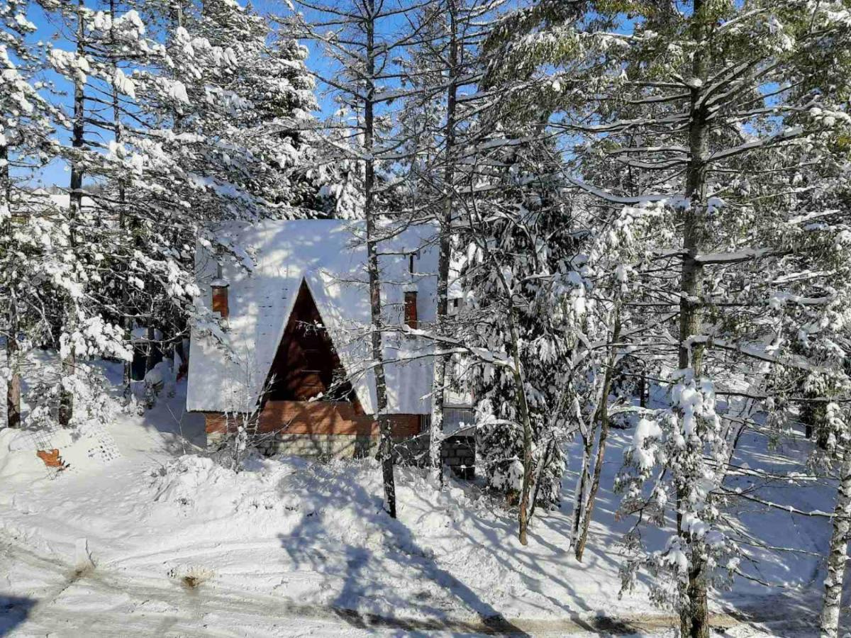 Almi Lux Apartman Zlatibor Exteriör bild